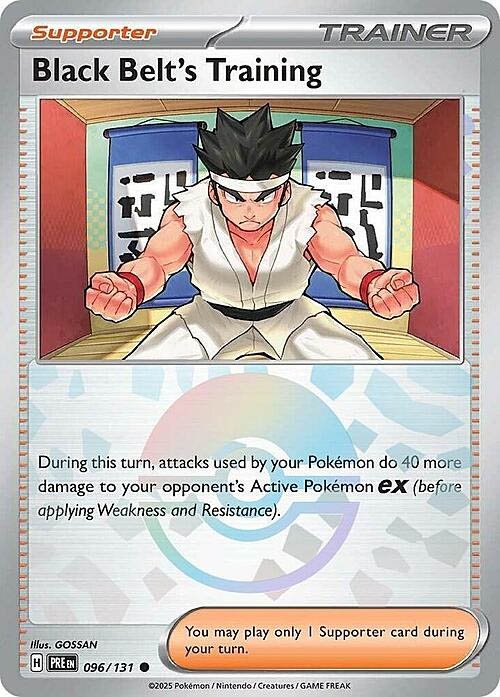 black-belts-training-poke-ball-pattern