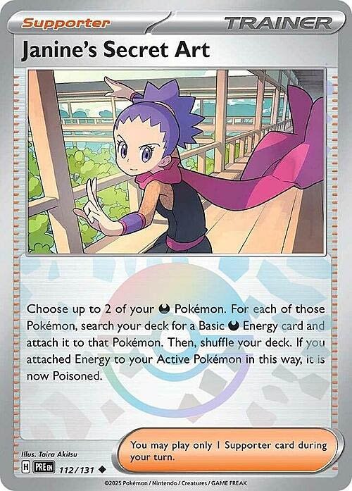 janines-secret-art-poke-ball-pattern