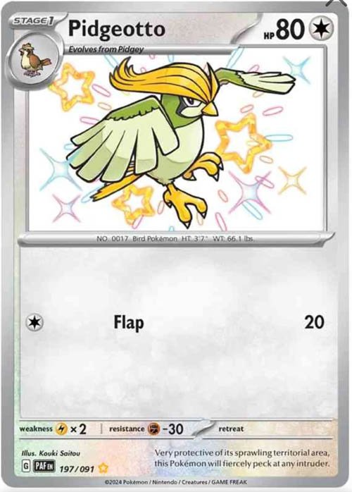 pidgeotto